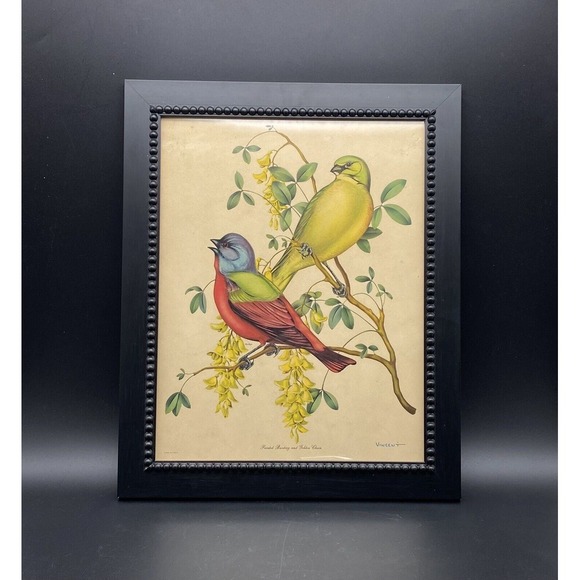 ANTIQUE BUNTING‎ AND GOLDEN CHAIN LITHOGRAPH PRINT U.S.A. BY VINCENT - Picture 1 of 7